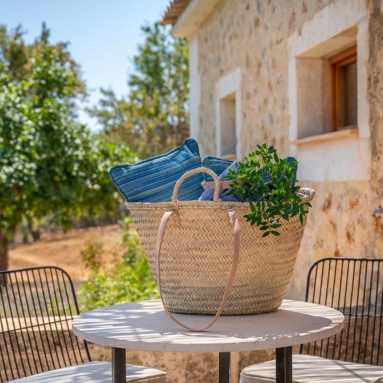 Agroturismo Son Siurana - Suite Junior con terraza - 2
