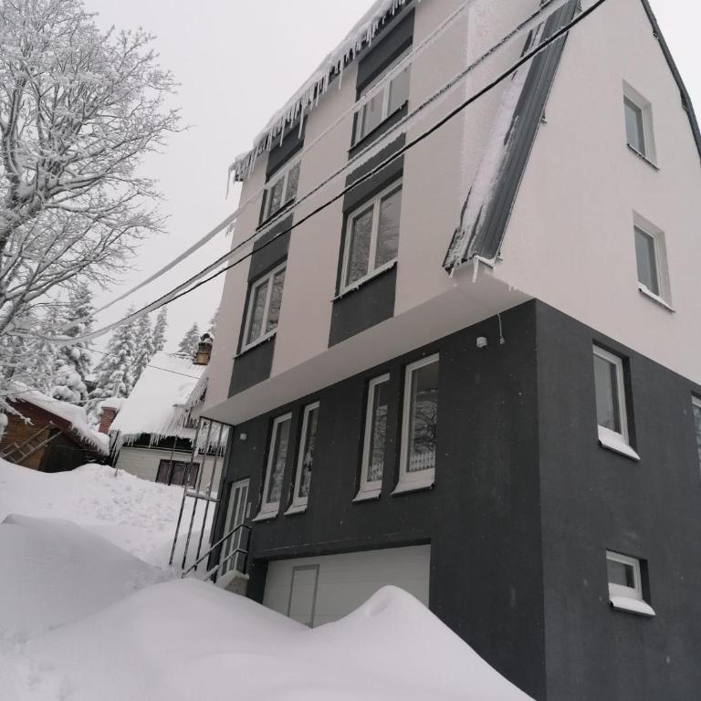 Apartmani Dimitrije Jahorina - Three-Bedroom Apartment - 20