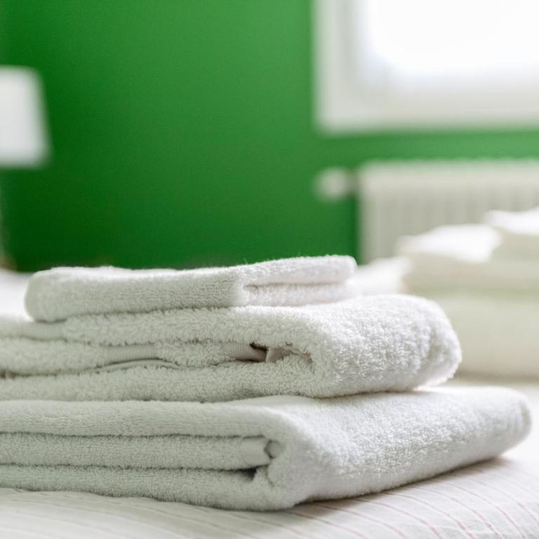 Green House Historic Centre - Two-Bedroom Apartment - 11