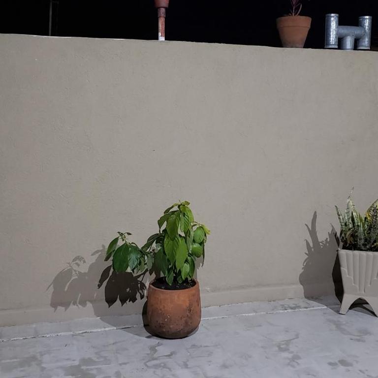 Aparts Temporarios Urquiza - Apartamento con terraza - 2