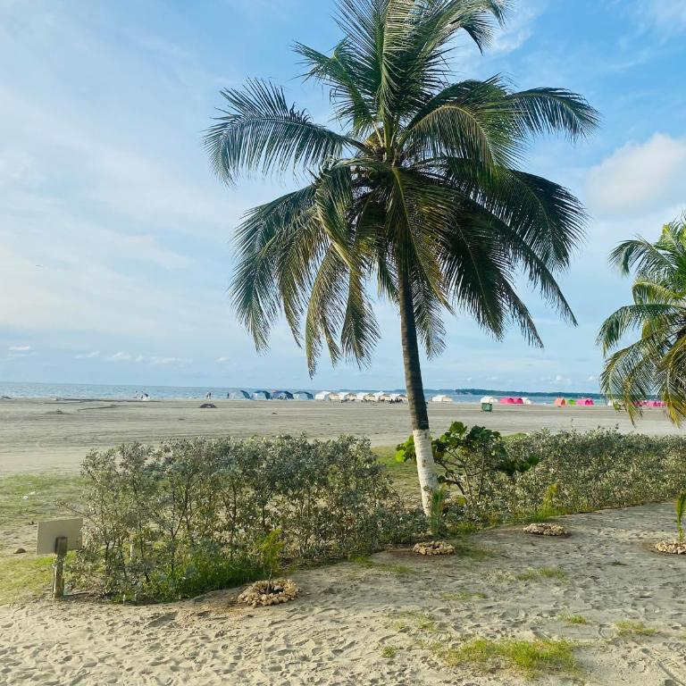 ¡Amazing Beach Dúplex! Infinity Pool / Rooftop - Apartamento de 2 dormitorios - 35