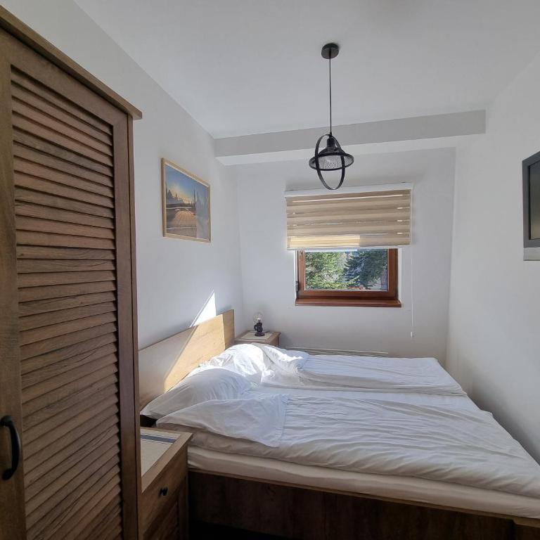 Apartman Srebrena Vila 9 - One-Bedroom Apartment - 7