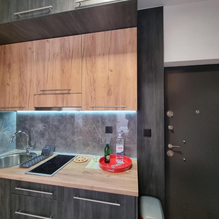Apartman Srebrena Vila 9 - One-Bedroom Apartment - 6