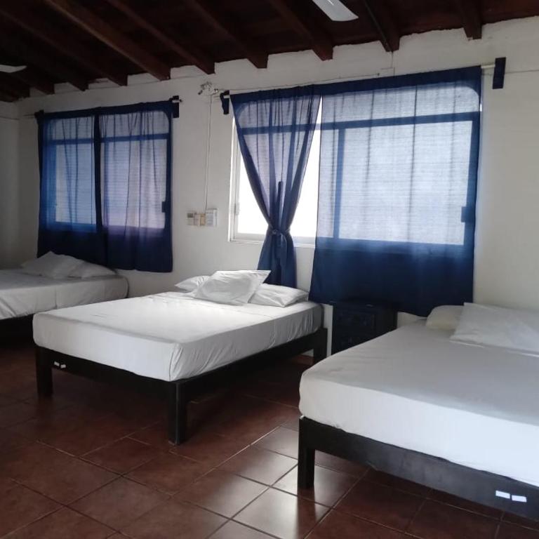 MayFlower Hotel & Hostal - Habitación Doble Estándar - 4