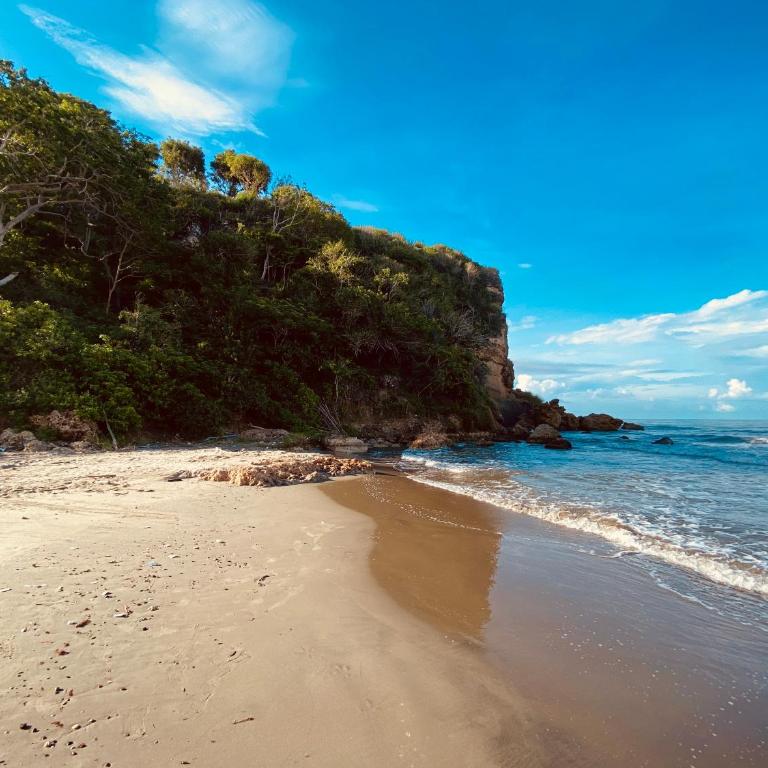 !Condominio de Lujo! Playa + Piscinas + Natural - Apartamento de 2 dormitorios - 47