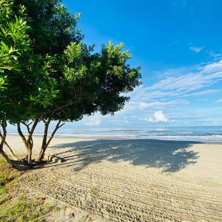!Condominio de Lujo! Playa + Piscinas + Natural - Apartamento de 2 dormitorios - 49