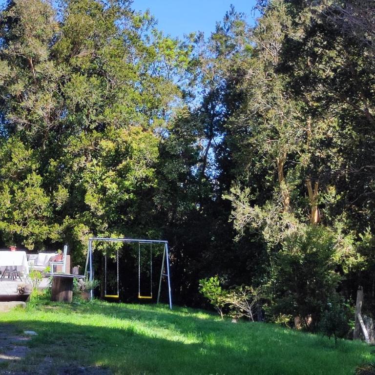 Acogedora cabaña en el bosque, acceso vehiculos 4x4 - Casa de 2 dormitorios - 35