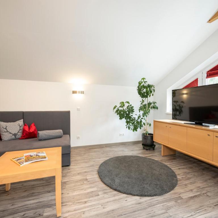 Sunshine Appartements Schilchegger - Appartamento (6 Adulti) - 18
