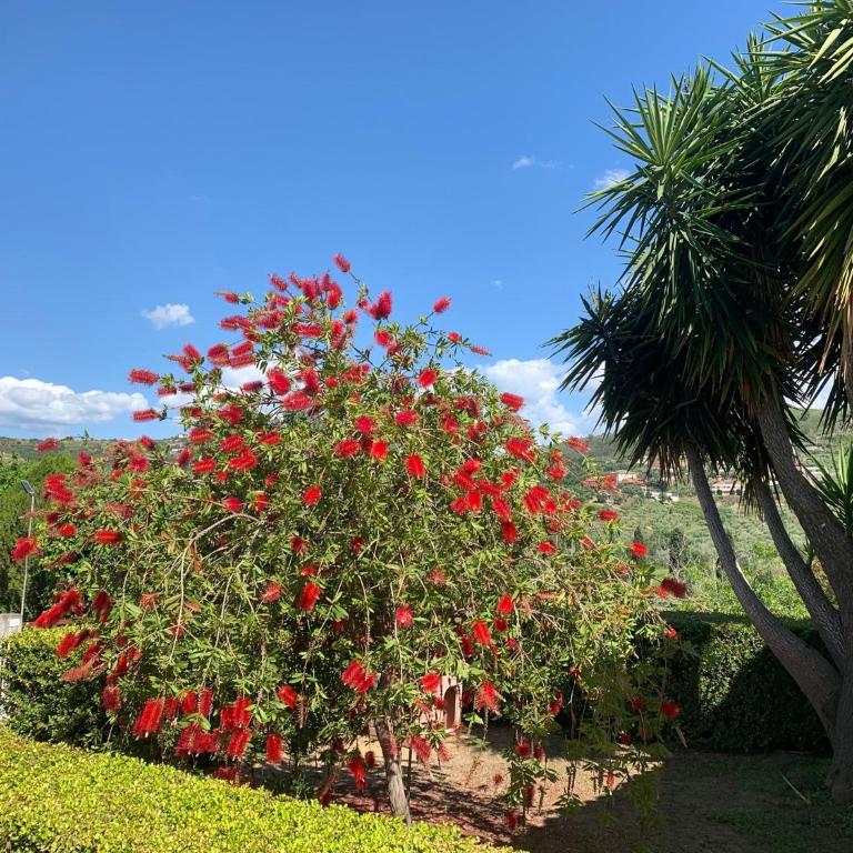 Villa Claudia - casa vacanze - Four-Bedroom House - 30