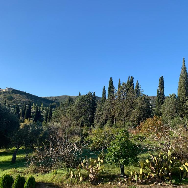 Villa Claudia - casa vacanze - Four-Bedroom House - 33
