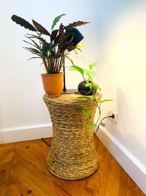 Spacious 2 bedroom apartment Champs Elysees and Golden Triangle - Two-Bedroom Apartment - 7