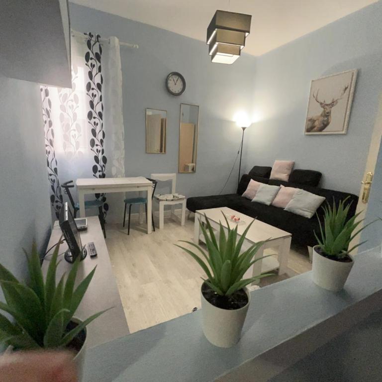 Retiro Atocha Paseo Del Prado , Madrid - Two-Bedroom Apartment - 72
