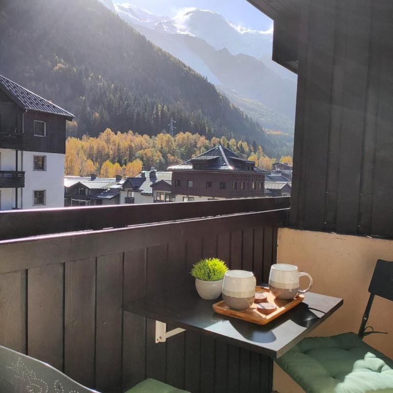 Superbe 2 pièces, centre vue Mont-Blanc avec balcon et parking gratuit - Appartement 1 Chambre - 3