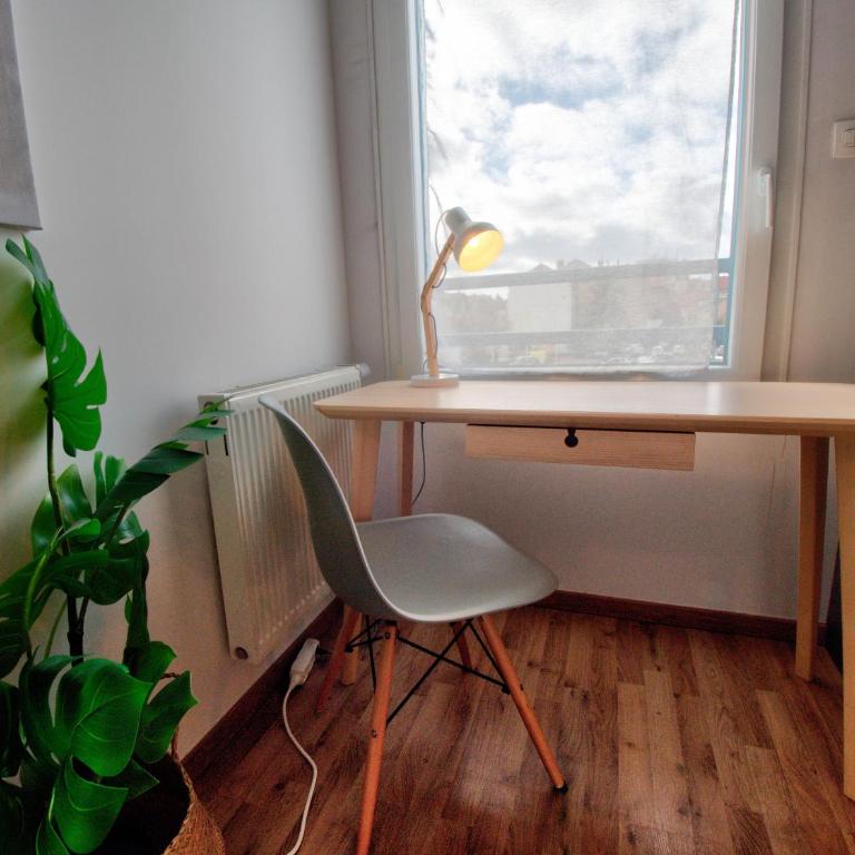 ☆ L'Exotique ☆ 2 chambres ☆ NETFLIX ☆ - Appartement 2 Chambres Deluxe avec Balcon - 6