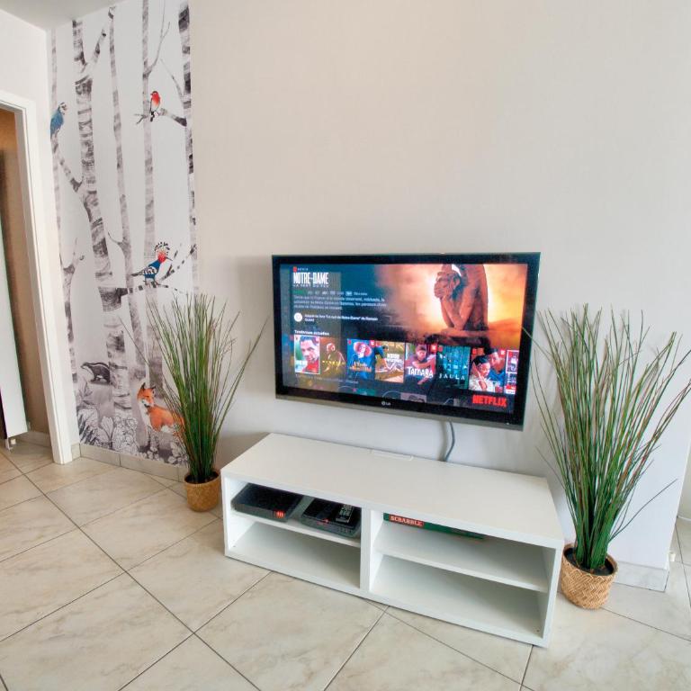 ☆ L'Exotique ☆ 2 chambres ☆ NETFLIX ☆ - Appartement 2 Chambres Deluxe avec Balcon - 13