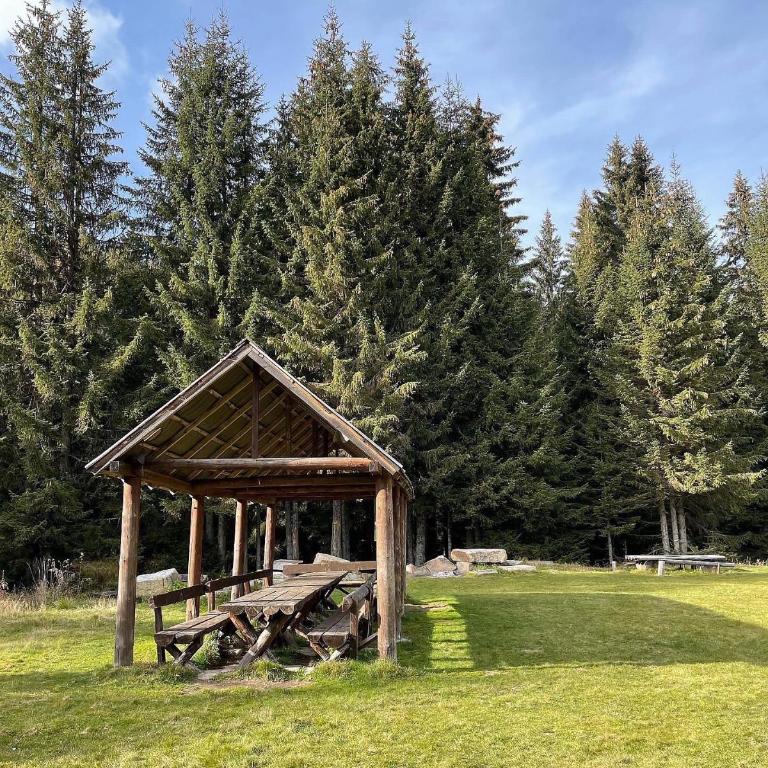 Apartman Kopaonik Woodside 106 - Deluxe King Studio - 5