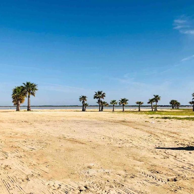Sanlúcar Playa de las Piletas - Apartamento de 2 dormitorios - 15