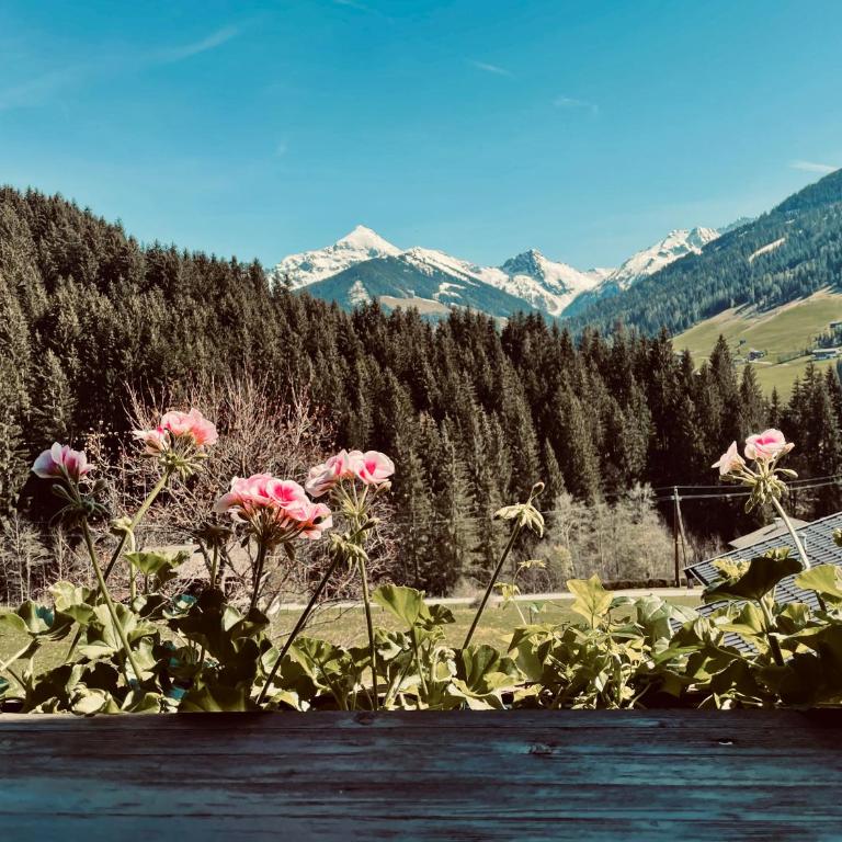 Naturapartments Alpbach - Alpin Bio Deluxe - Apartment mit Bad - 41