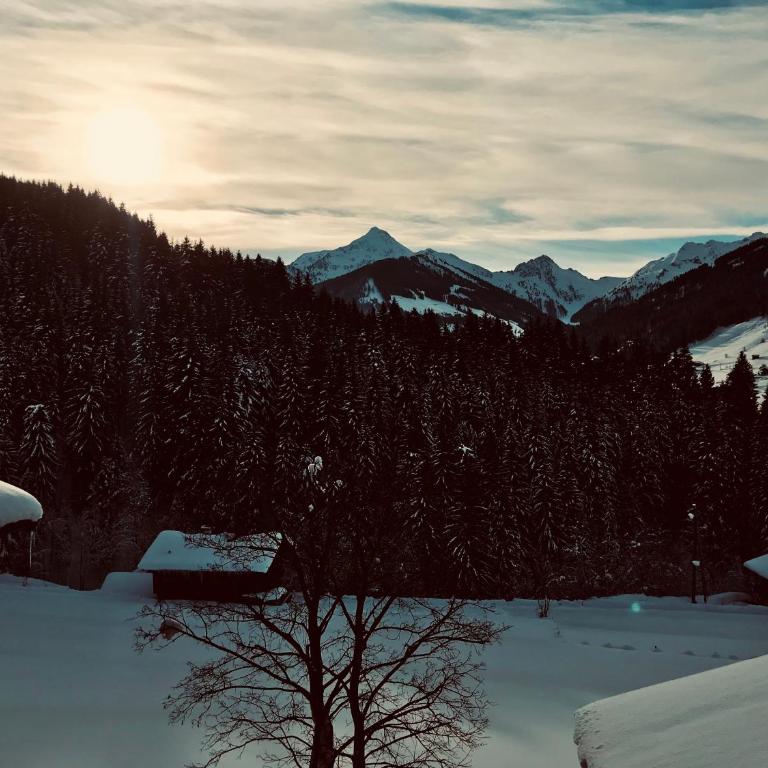 Naturapartments Alpbach - Alpin Bio Deluxe - Apartment mit Bad - 56