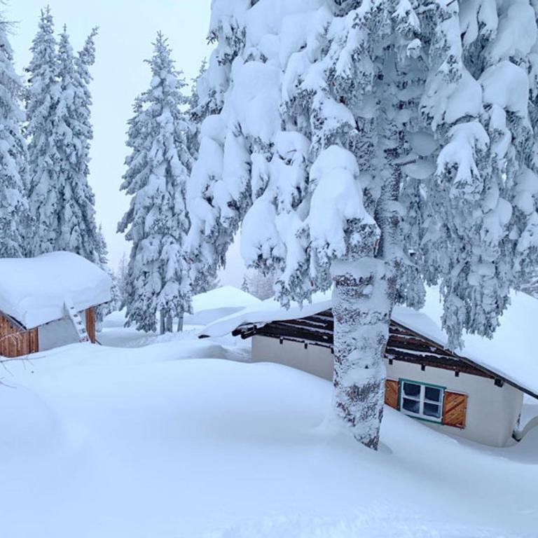 Ski in - Ski out am Hauser Kaibling - Chalet mit 1 Schlafzimmer - 10