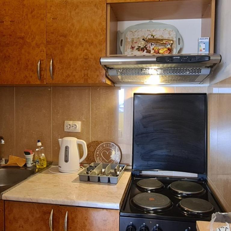 Experience Novi Sad Residence - Apartman sa 2 Spavaće Sobe - 19