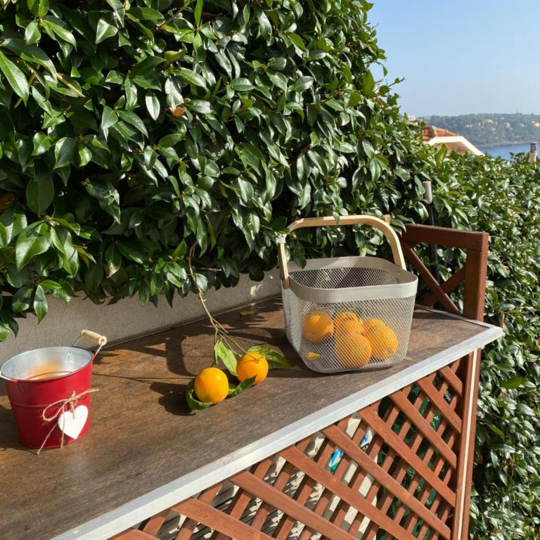 Cap d.Azur - Appartement 1 Chambre - 20