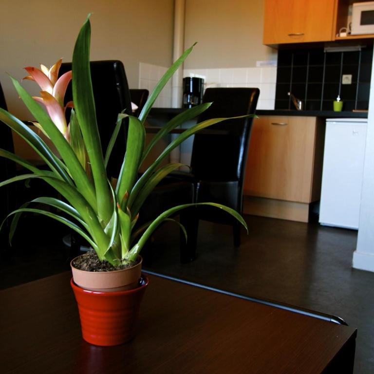 Appart'hotel Les Palatines - Studio - 7