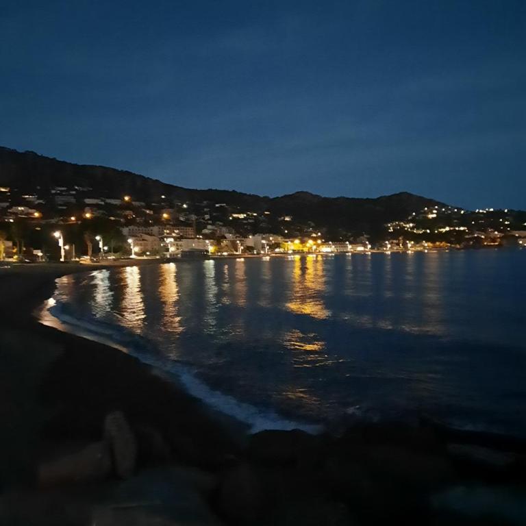 Vacances en paradis - Appartement 1 Chambre - 19