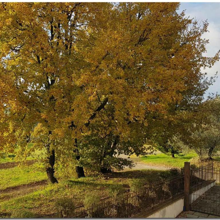 Holiday home in Cortona - Toskana 30389 - Villa - 2