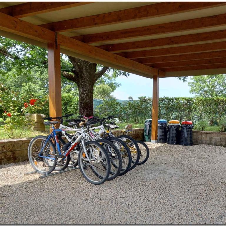 Holiday home in Cortona - Toskana 30389 - Villa - 19