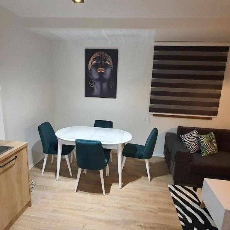 M&G Jahorina - One-Bedroom Apartment - 12