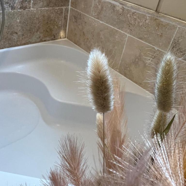LE PARADIS APPARTEMENT - Apartment mit 2 Schlafzimmern - 24
