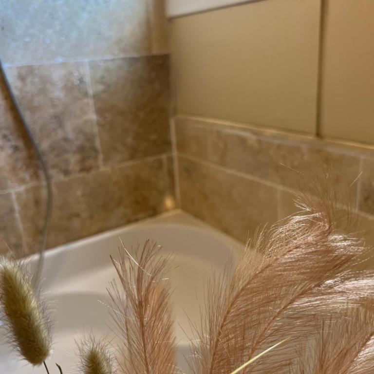 LE PARADIS APPARTEMENT - Apartment mit 2 Schlafzimmern - 45