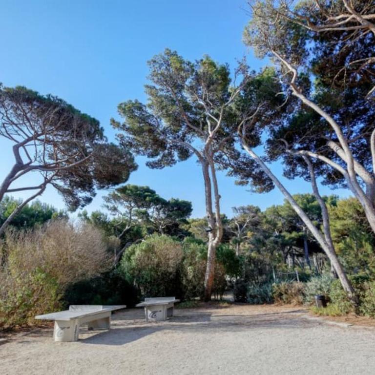 Superbe Appartement à 50 m de la mer - Appartement - Vue sur Piscine - 7