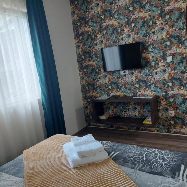 Apartmani Borova Iglica Divčibare - Deluks Dvokrevetna Soba sa Bračnim Krevetom/Zasebnim Krevetima i Pogledom na Planinu - 21