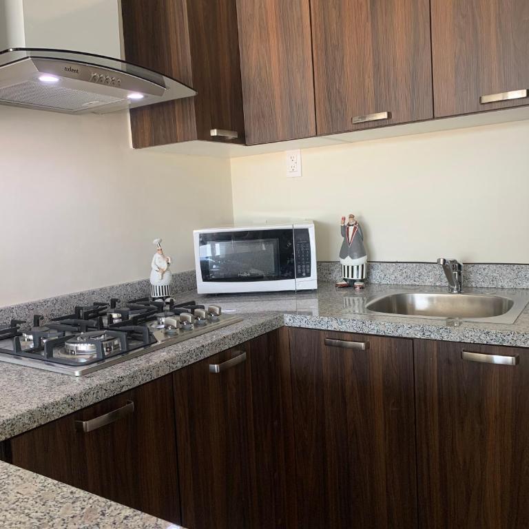Departamento nuevo y céntrico con ambiente familiar en Guadalajara - Two-Bedroom Apartment - 7