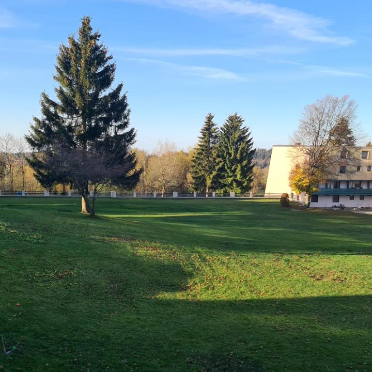 Schöne Ferienwohnung im Herzen des Bayerischen Wald - Apartment mit 1 Schlafzimmer - 20