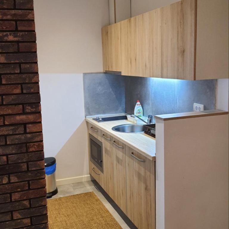 Apartmani ŽUPA - One-Bedroom Apartment - 10