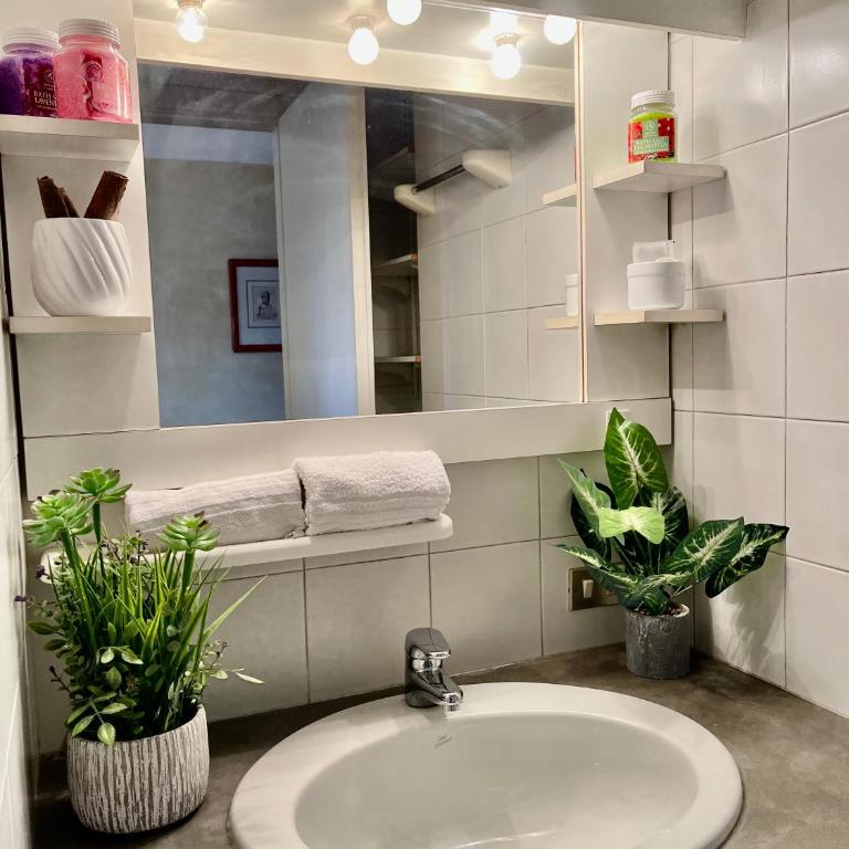 Spallanzani Apartment - Appartamento con 1 Camera da Letto - 8