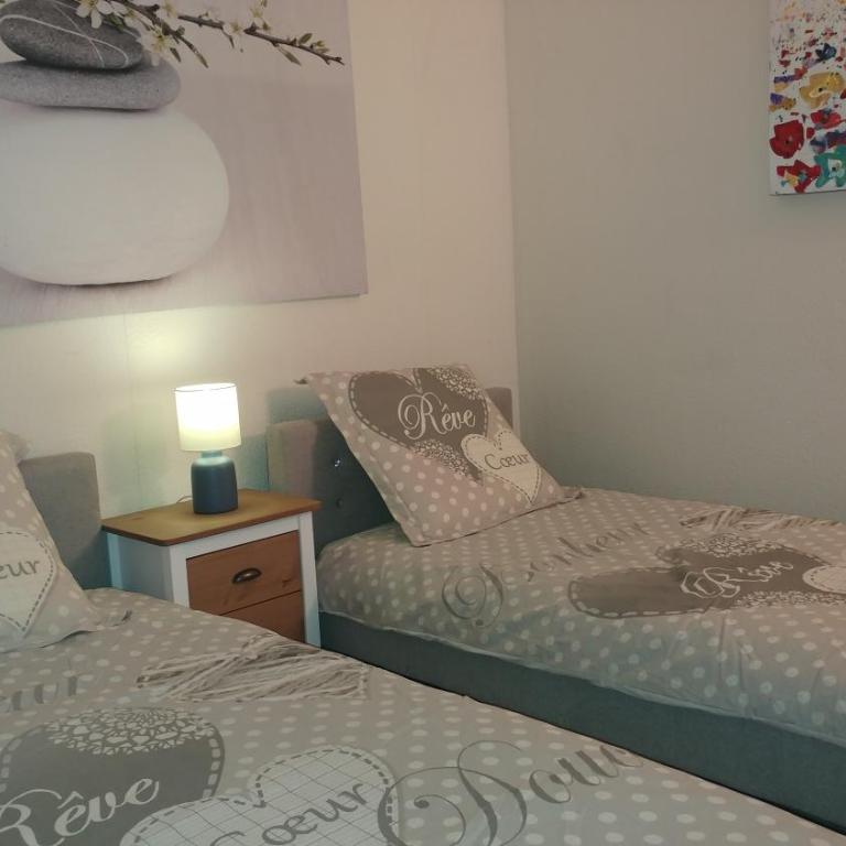 Agréable T3 avec jardin et parking privé, à 350m du centre ville et des plages, wifi, remise supplémentaire de 10 pourcent pour une location à la semaine - Appartement 2 Chambres - 25