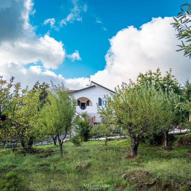Tenuta Carbone - Con piscina e parcheggio privato - Villa con 3 Camere da Letto - 58