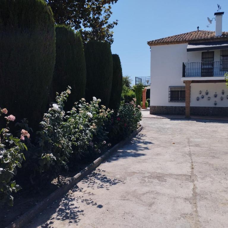 VIVIENDA RURAL HUERTA DEl MEDIO - Four-Bedroom House - 7