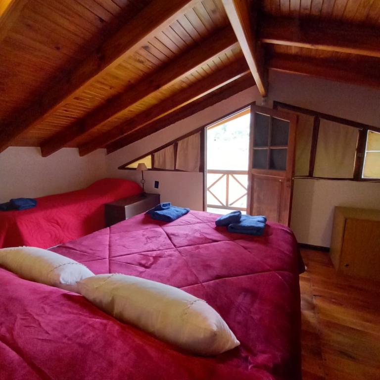 Casa La Encantada, en el pedemonte mendocino - Chalet de 1 dormitorio - 14