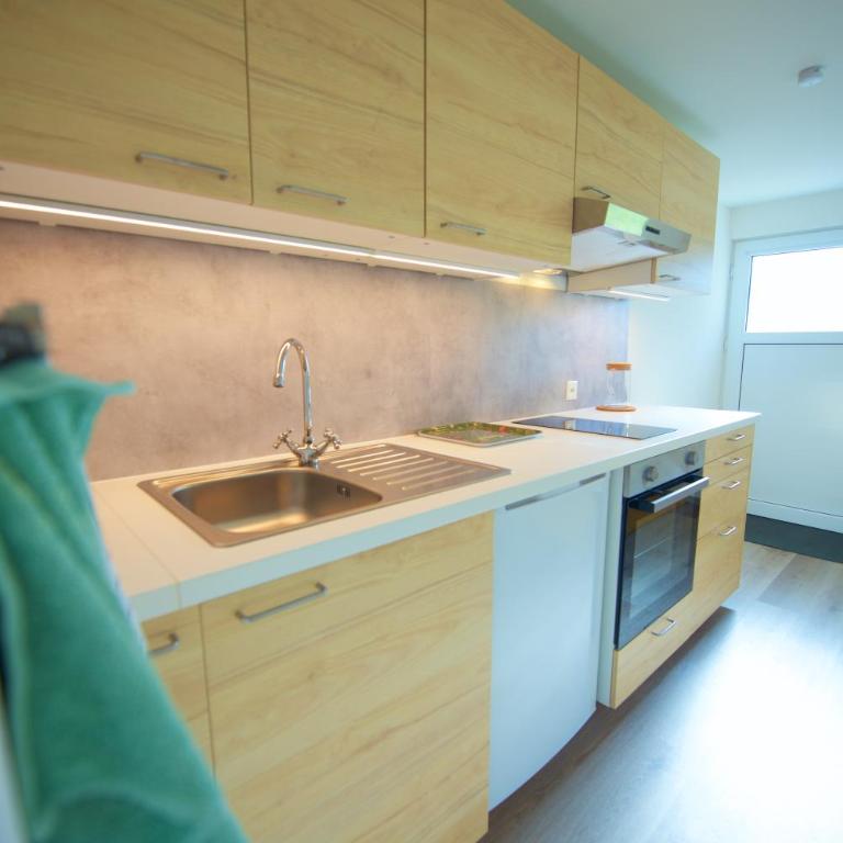 Studio loft avec sauna & terrasses alpines - Studio mit Terrasse - 30