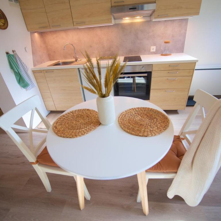 Studio loft avec sauna & terrasses alpines - Studio mit Terrasse - 11