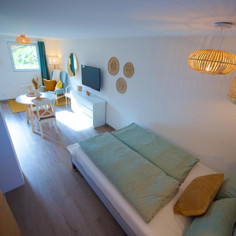 Studio loft avec sauna & terrasses alpines - Studio mit Terrasse - 27