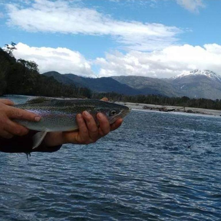 Cabañas Los Ranchos del Puelo - Habitación Doble con vistas al parque - 6