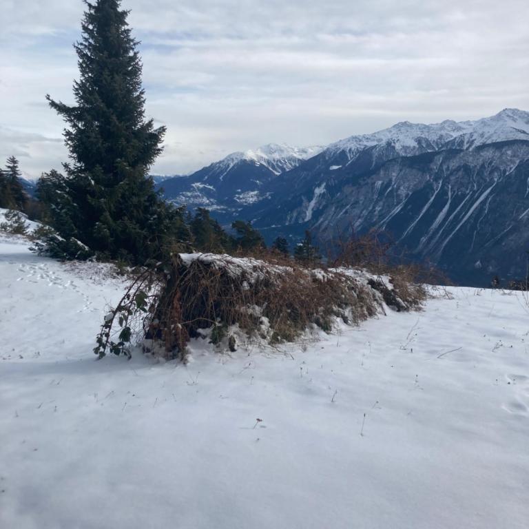 Apartment Eglantine with stunning views of the Valais Peaks - Apartment mit 1 Schlafzimmer - 27