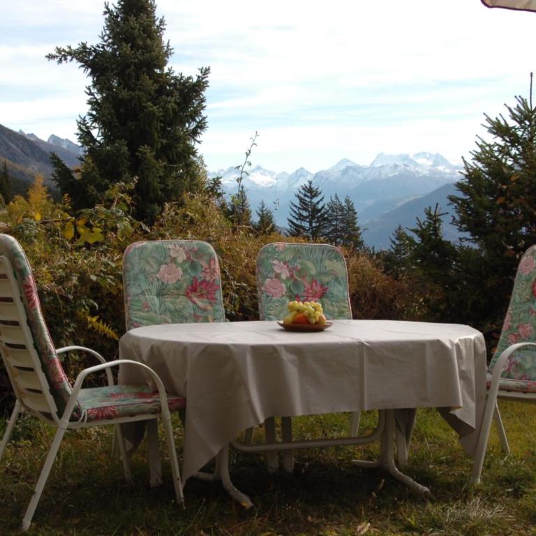 Apartment Eglantine with stunning views of the Valais Peaks - Apartment mit 1 Schlafzimmer - 37