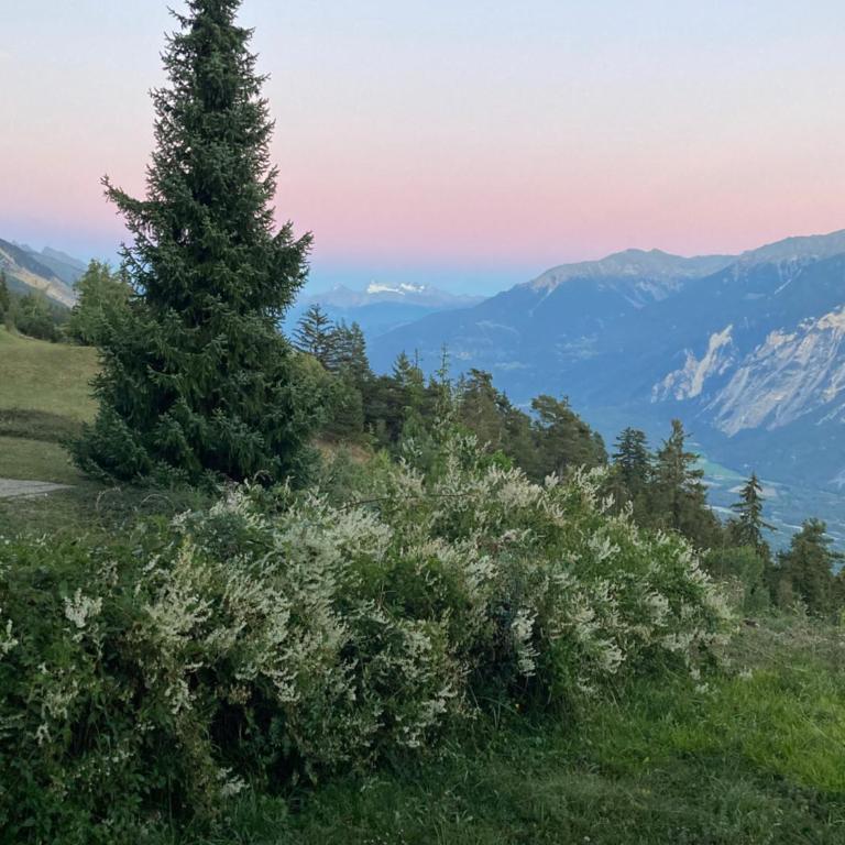 Apartment Eglantine with stunning views of the Valais Peaks - Apartment mit 1 Schlafzimmer - 47